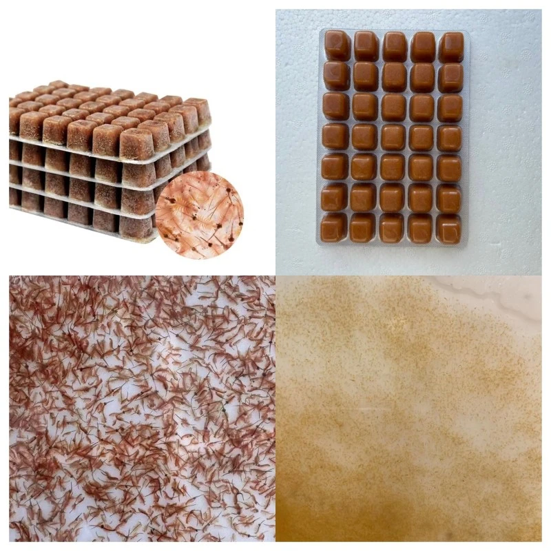 Frozen brine shrimp and rotifer bulk packaging in cold storage Frozen brine shrimp and rotifer bulk packaging in cold storage