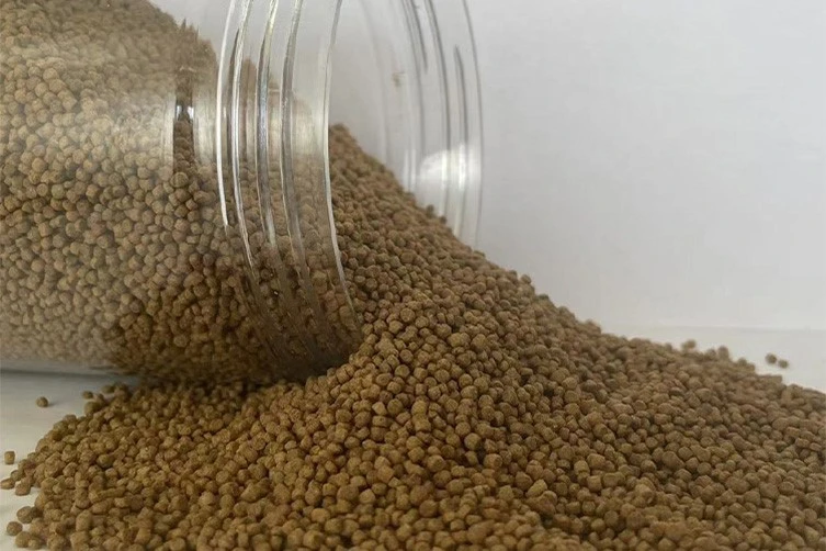 Aqua Plus Gracula Religiosal bird food Aqua Plus Gracula Religiosal bird food
