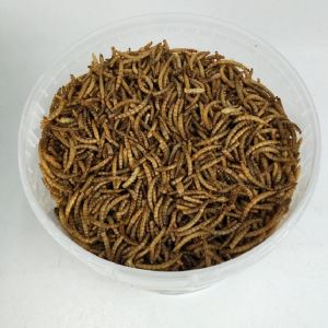 Kurutulmuş Mealworms Balık Gıda
